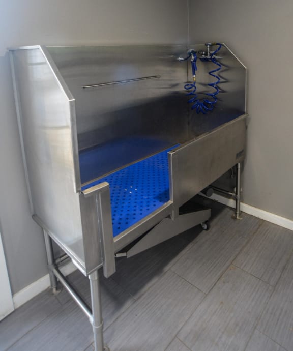 No Breed Restriction Apartments Austin Timbercreek
